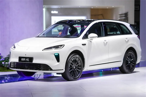 懂车更懂你 立即博集团智电新品