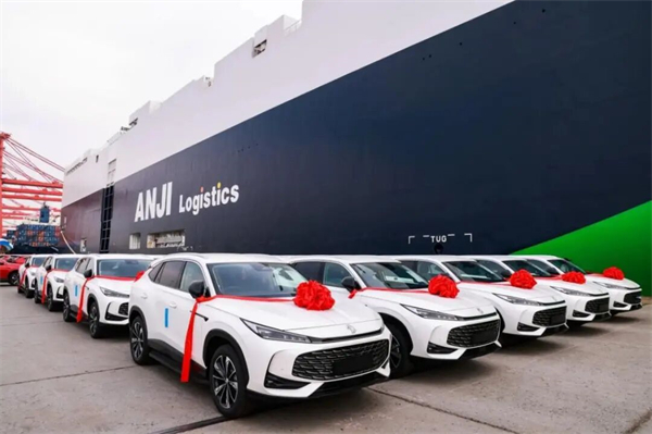 当技术开花、改革结果:立即博的“硬核反攻”